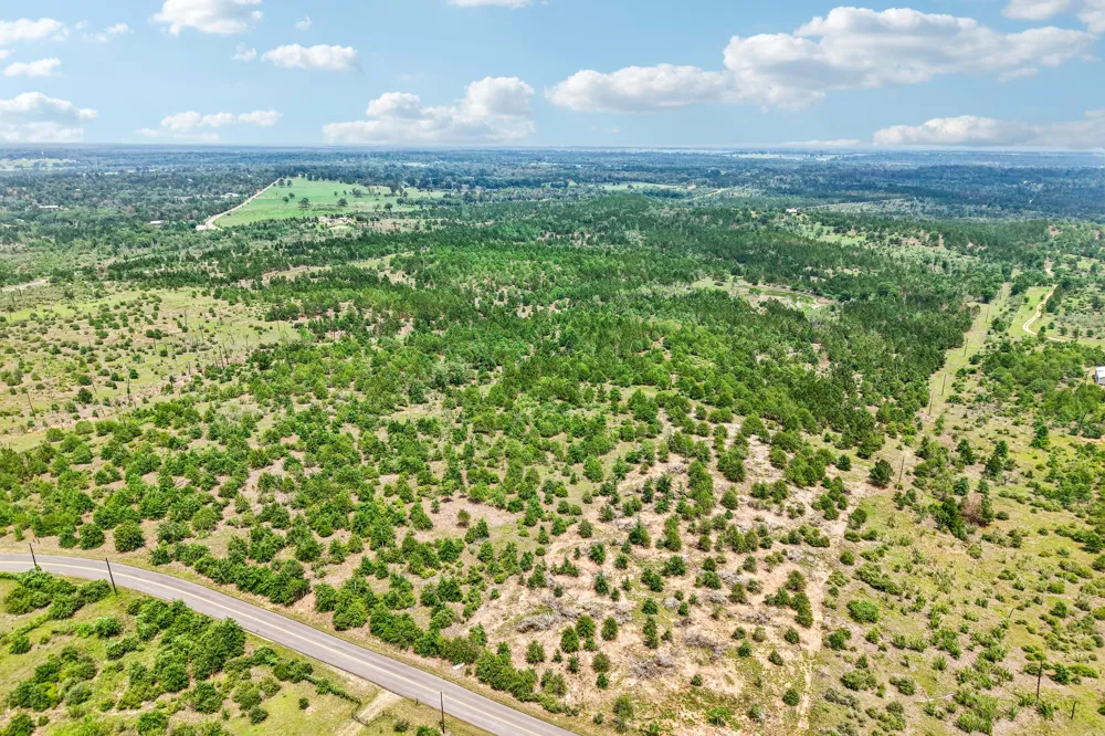 1213 Park Road 1C Smithville, TX 78957
