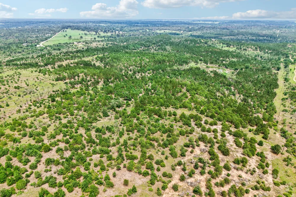 1213 Park Road 1C Smithville, TX 78957