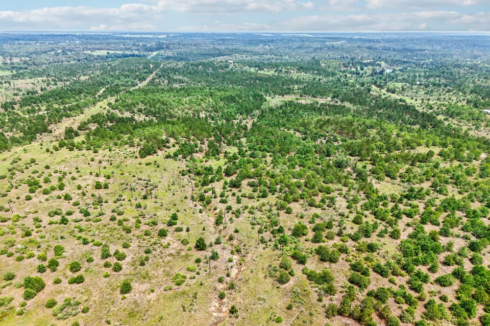 1213 Park Road 1C Smithville, TX 78957