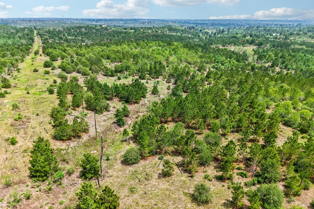 1213 Park Road 1C Smithville, TX 78957