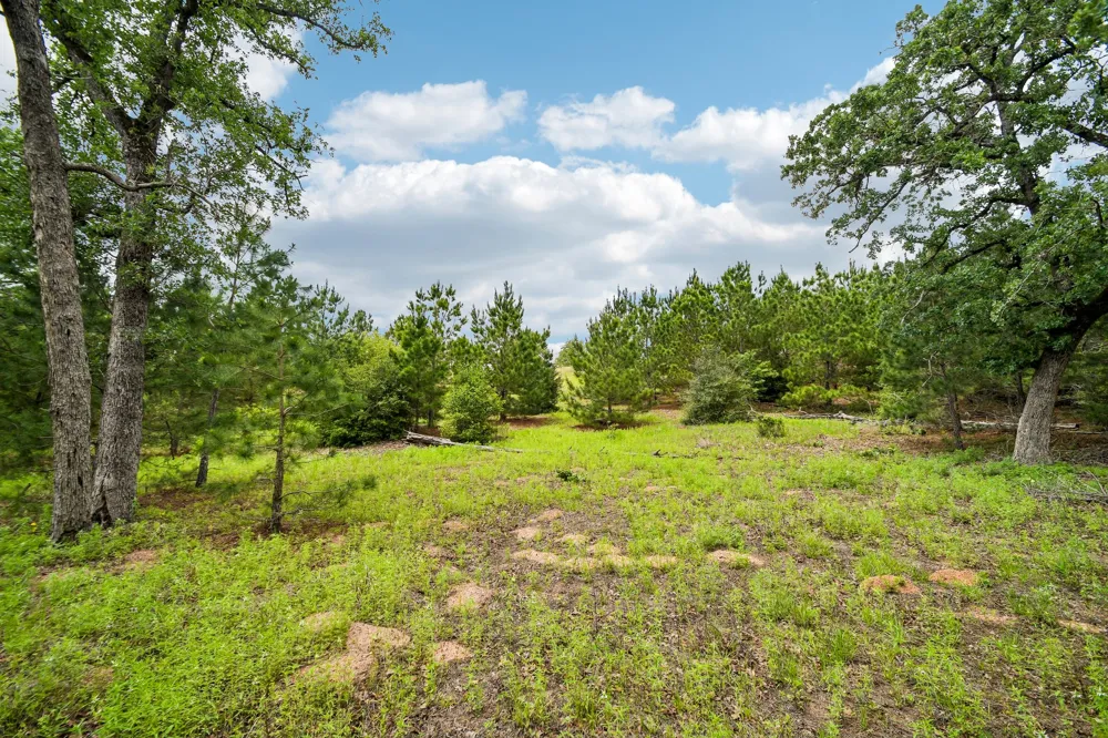 1213 Park Road 1C Smithville, TX 78957