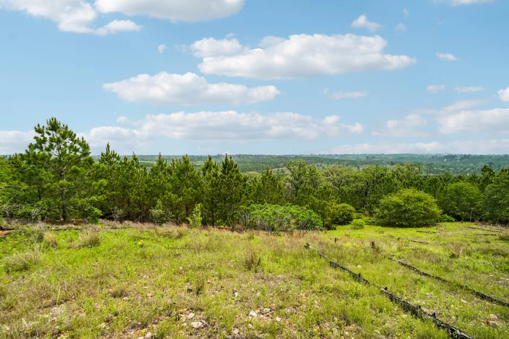 1213 Park Road 1C Smithville, TX 78957