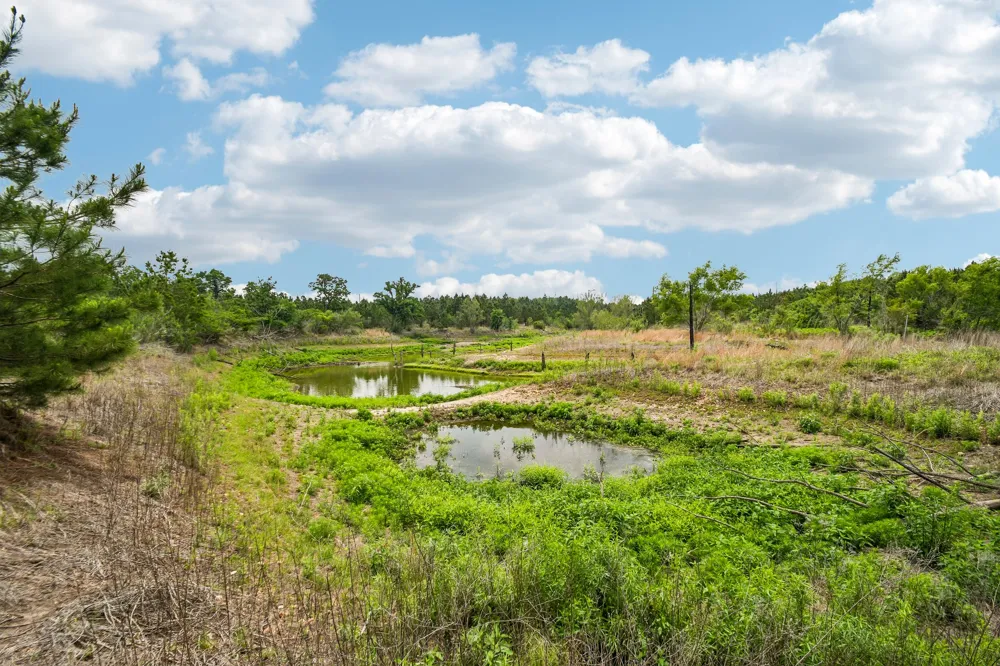 1213 Park Road 1C Smithville, TX 78957