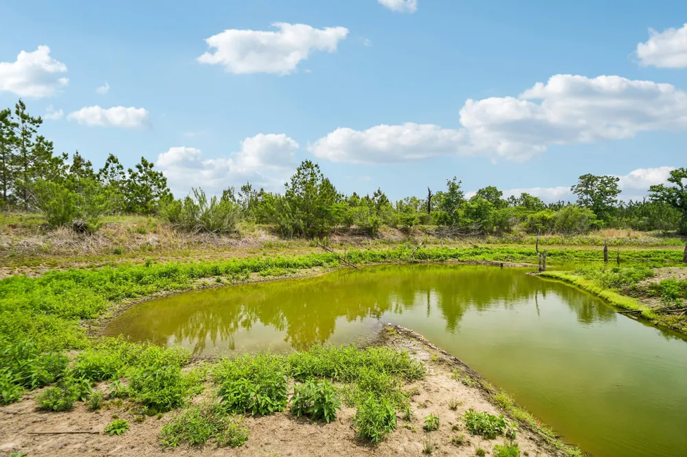 1213 Park Road 1C Smithville, TX 78957