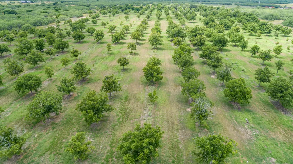 475 W County Road 418 Premont, TX 78375