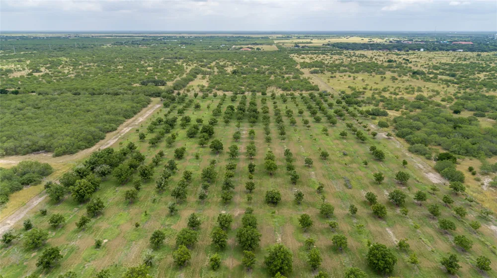 475 W County Road 418 Premont, TX 78375
