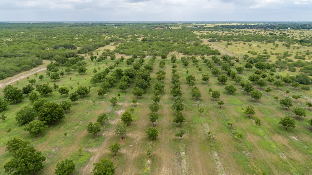 475 W County Road 418 Premont, TX 78375