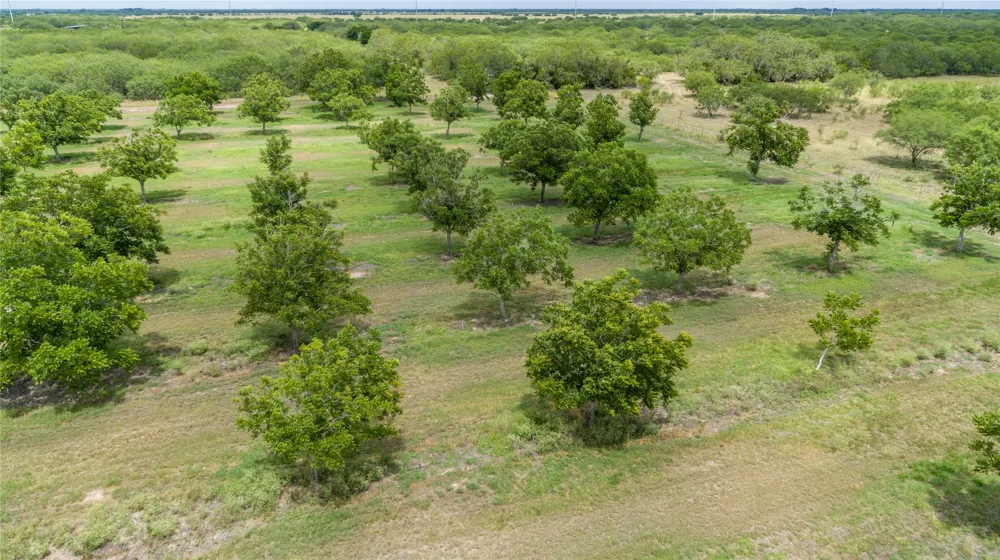 475 W County Road 418 Premont, TX 78375