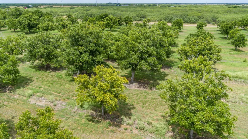475 W County Road 418 Premont, TX 78375