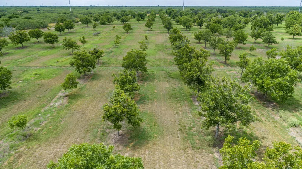 475 W County Road 418 Premont, TX 78375