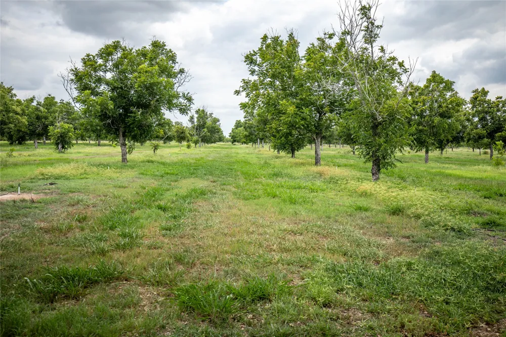 475 W County Road 418 Premont, TX 78375