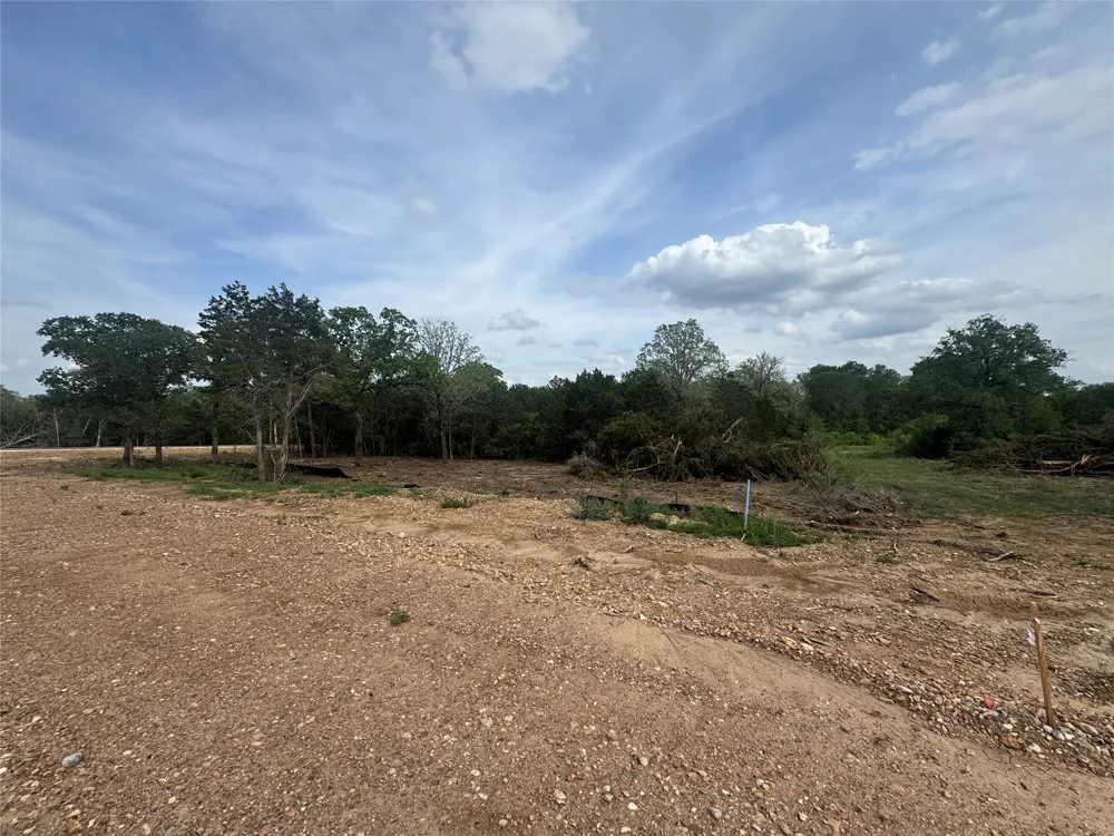 199 Della Lane Cedar Creek, TX 78612