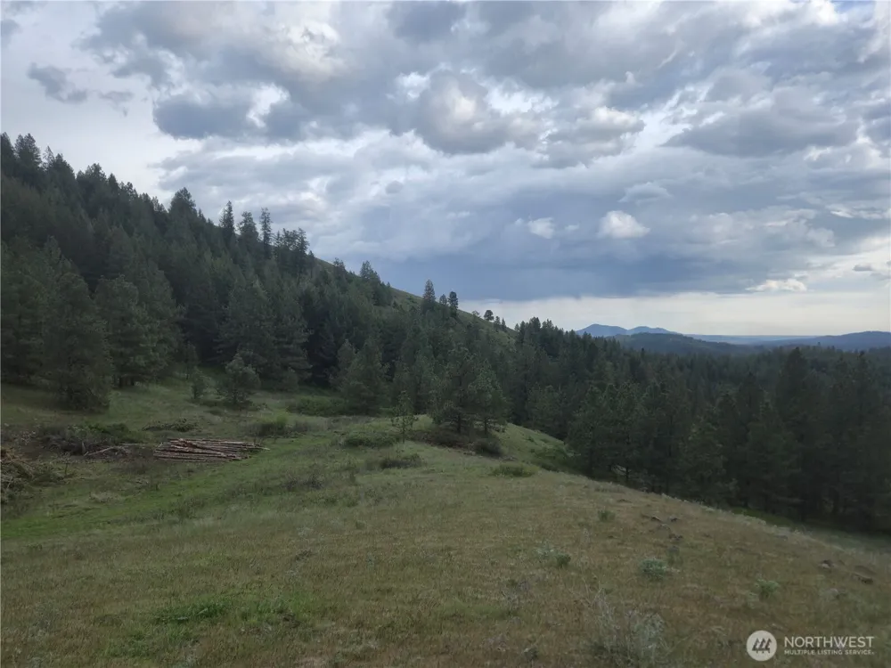 0 Fruitland Valley Road Fruitland, WA 99129