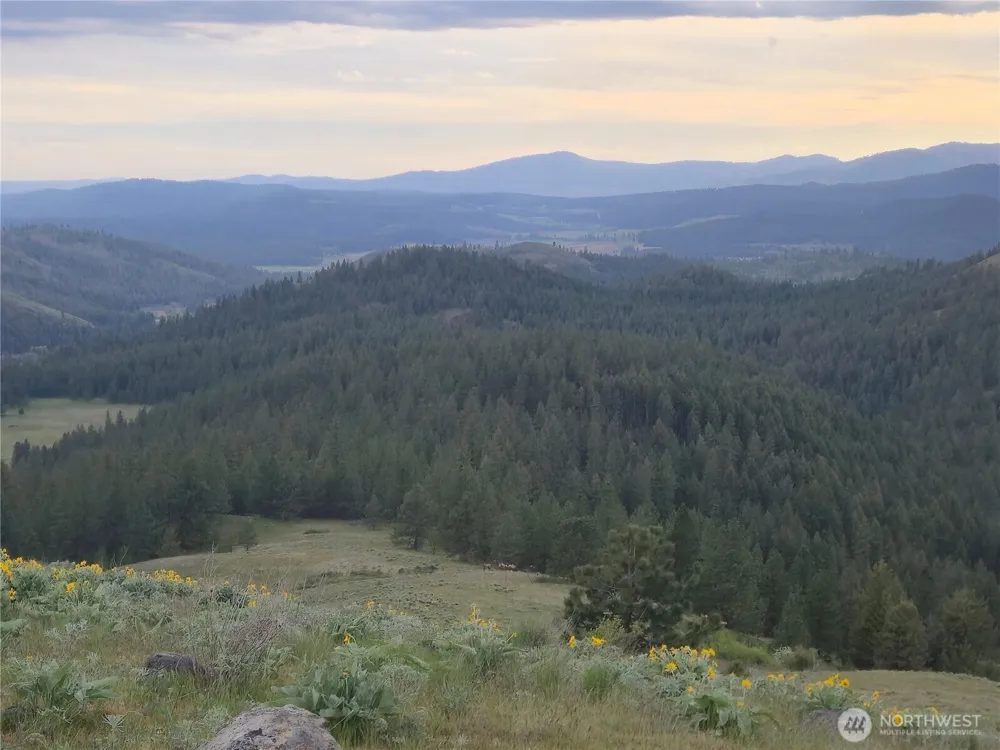 0 Fruitland Valley Road Fruitland, WA 99129