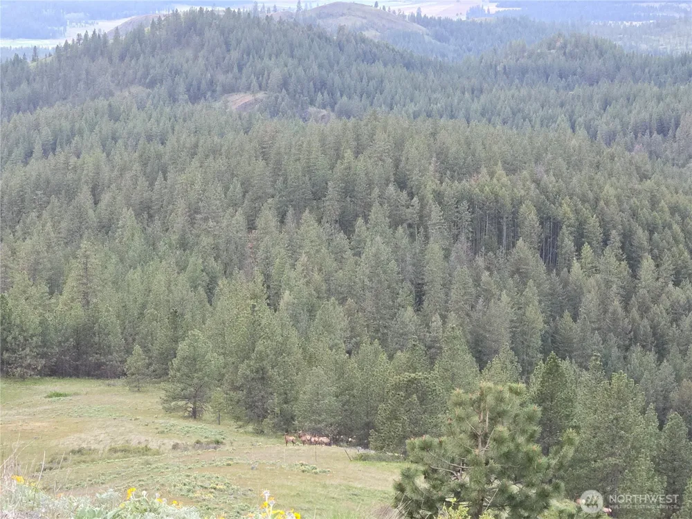 0 Fruitland Valley Road Fruitland, WA 99129