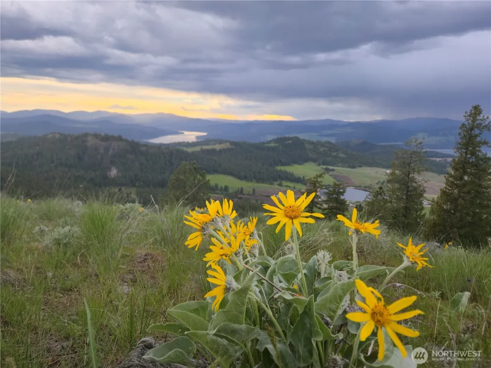 0 Fruitland Valley Road Fruitland, WA 99129
