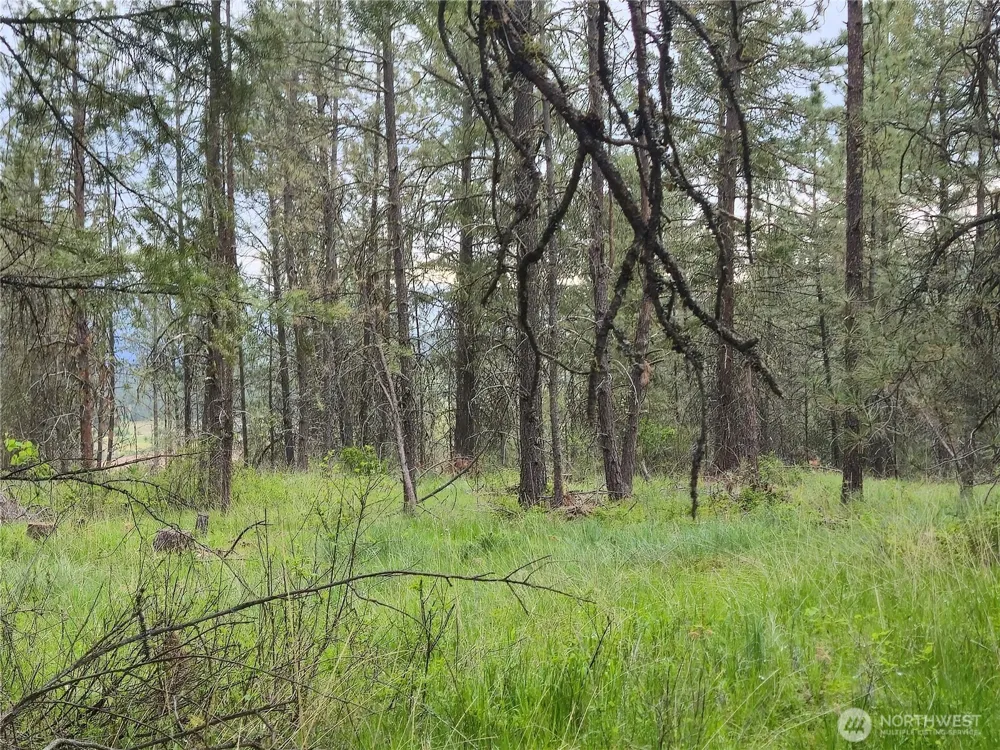0 Fruitland Valley Road Fruitland, WA 99129