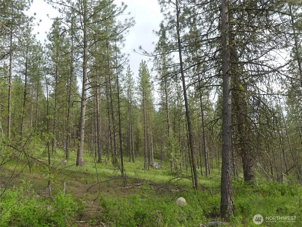0 Fruitland Valley Road Fruitland, WA 99129