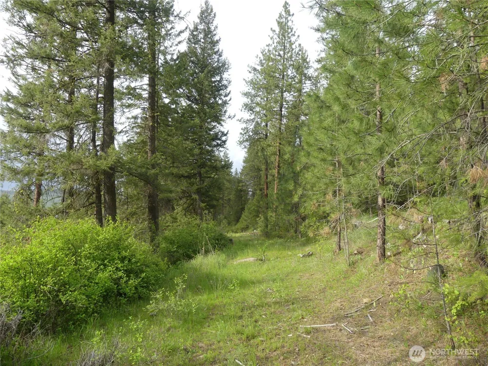 0 Fruitland Valley Road Fruitland, WA 99129