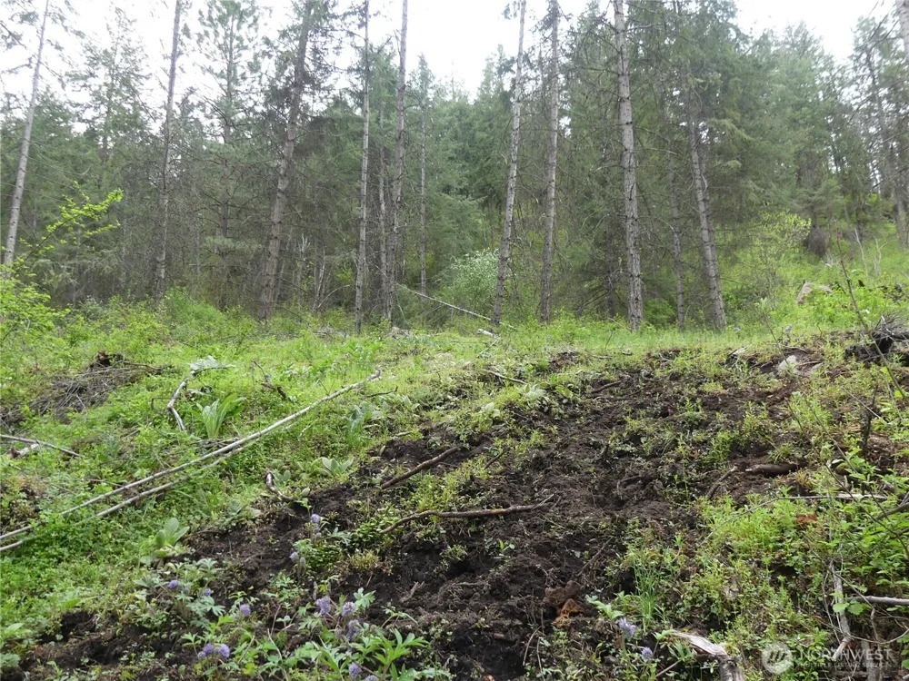 0 Fruitland Valley Road Fruitland, WA 99129