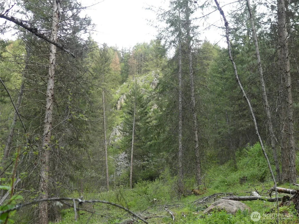 0 Fruitland Valley Road Fruitland, WA 99129