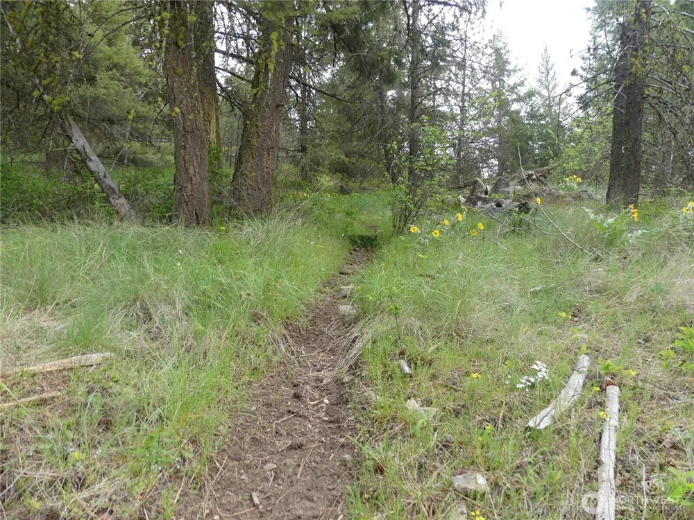 0 Fruitland Valley Road Fruitland, WA 99129