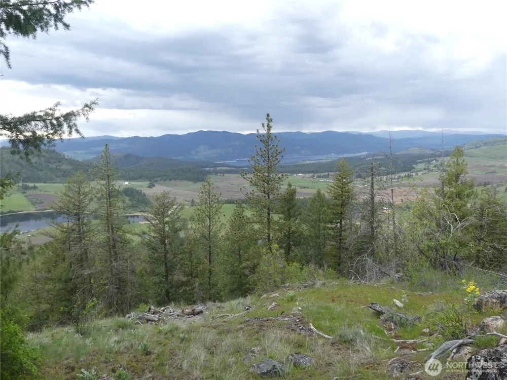 0 Fruitland Valley Road Fruitland, WA 99129