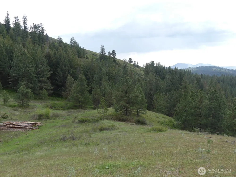 0 Fruitland Valley Road Fruitland, WA 99129