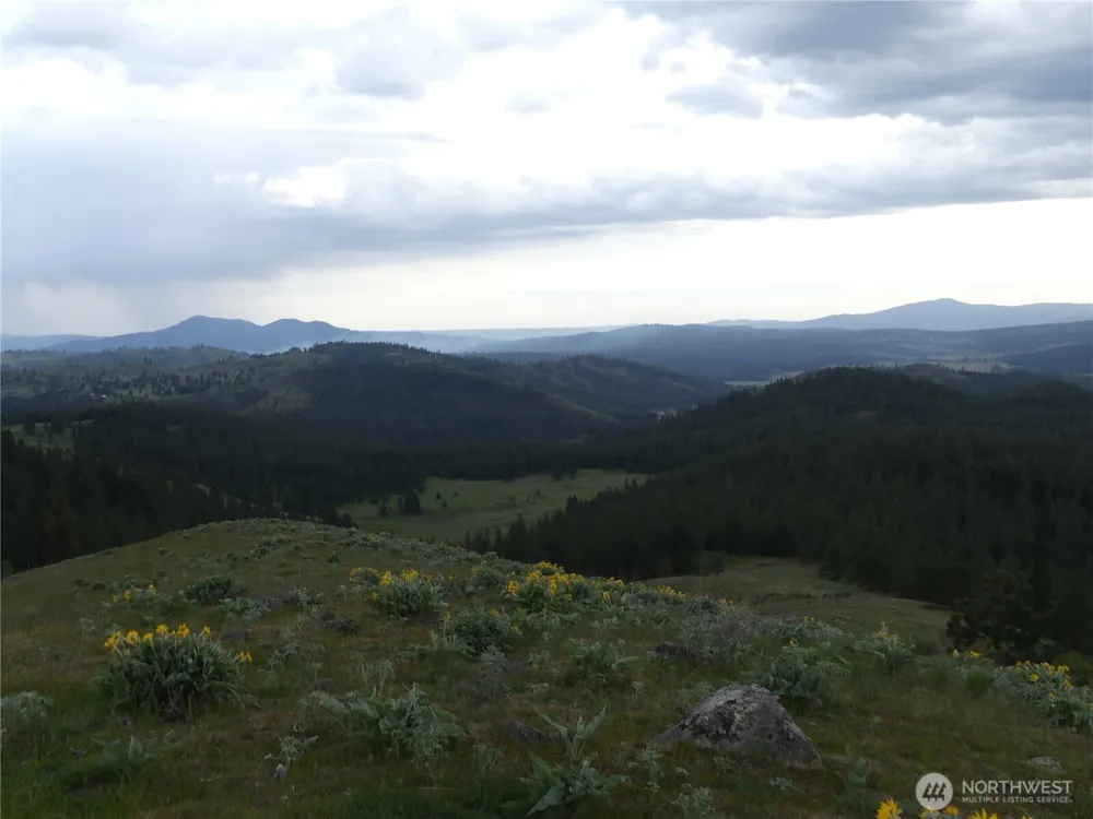 0 Fruitland Valley Road Fruitland, WA 99129