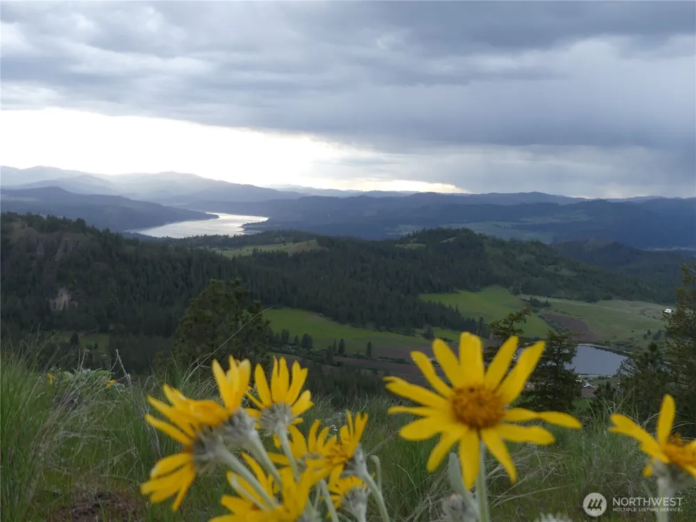 0 Fruitland Valley Road Fruitland, WA 99129