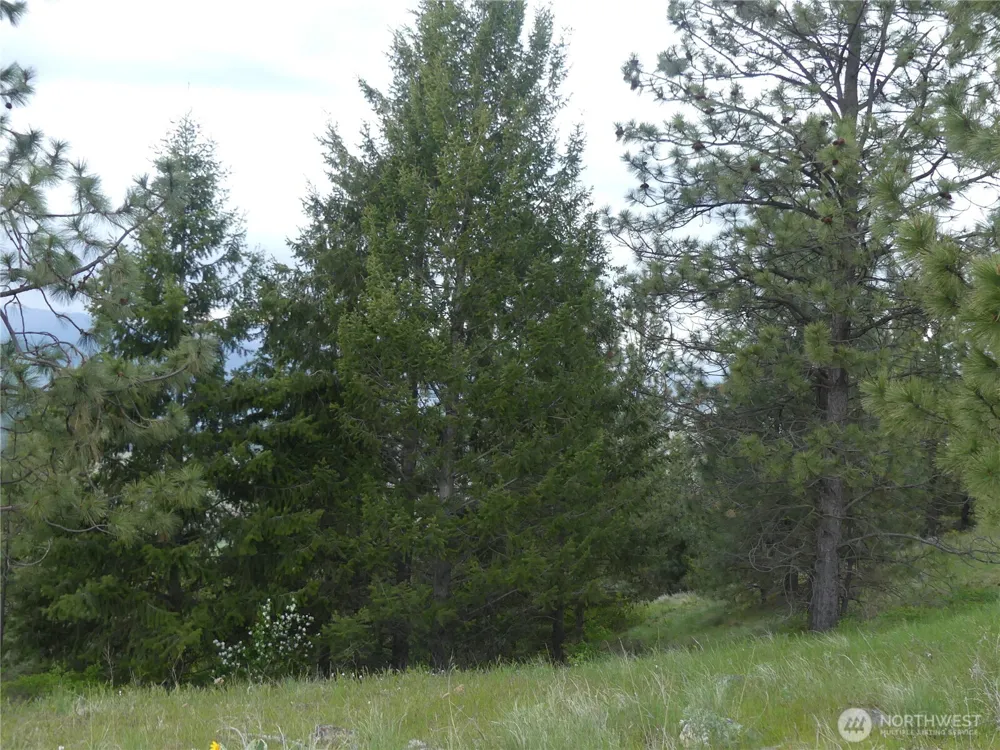 0 Fruitland Valley Road Fruitland, WA 99129
