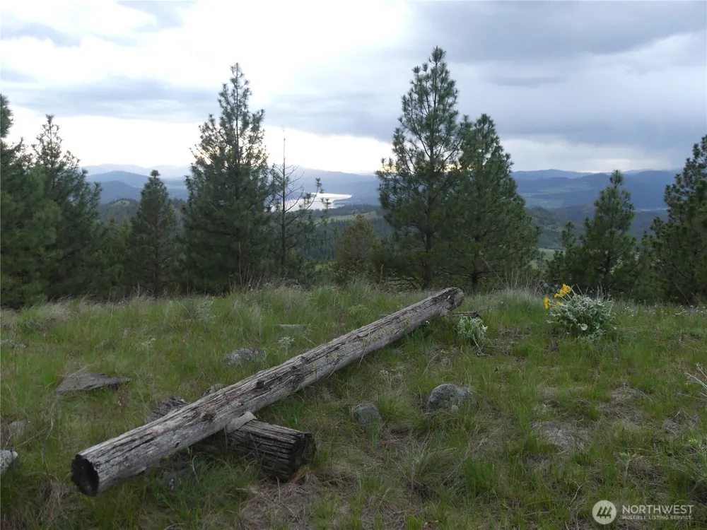 0 Fruitland Valley Road Fruitland, WA 99129