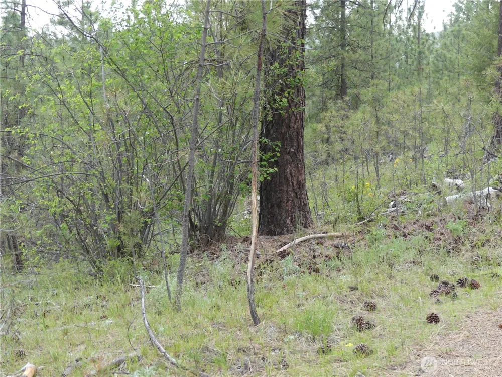 0 Fruitland Valley Road Fruitland, WA 99129