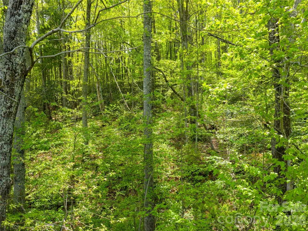 490 Barrington Drive #121 Asheville, NC 28803