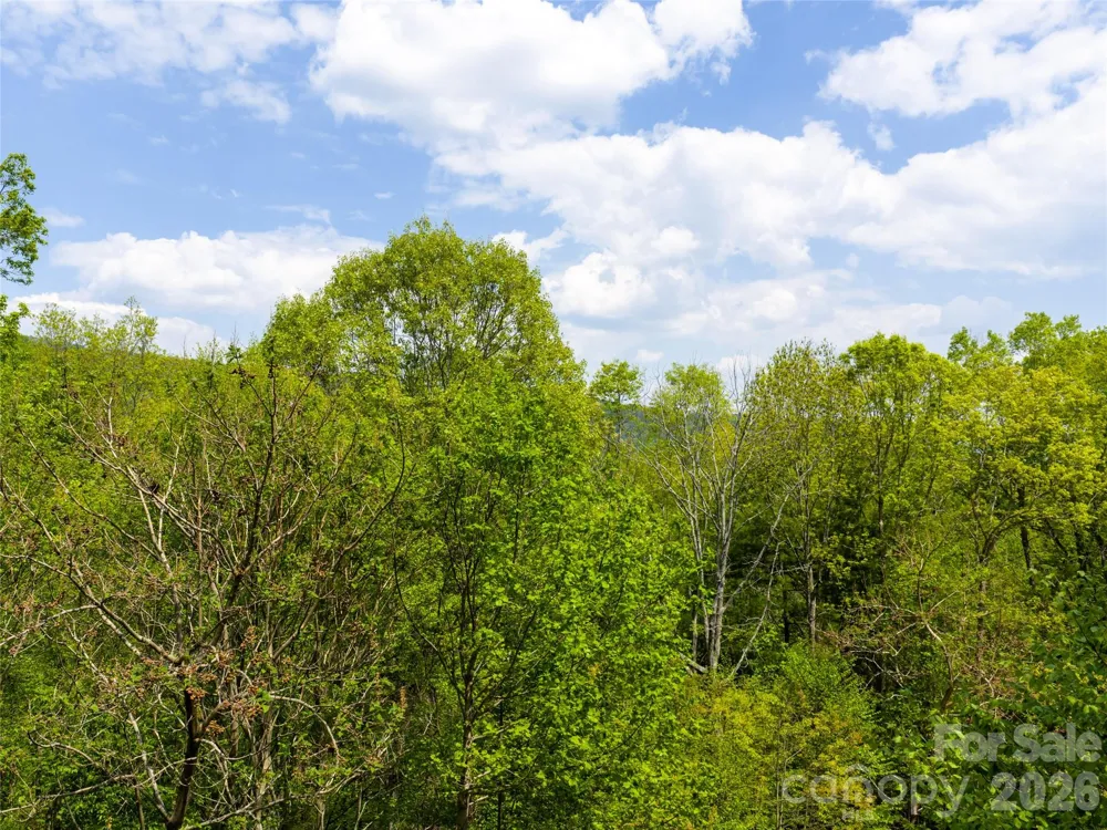 490 Barrington Drive #121 Asheville, NC 28803