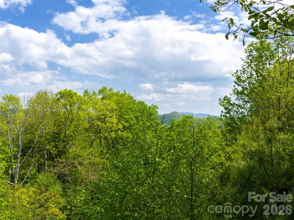 490 Barrington Drive #121 Asheville, NC 28803