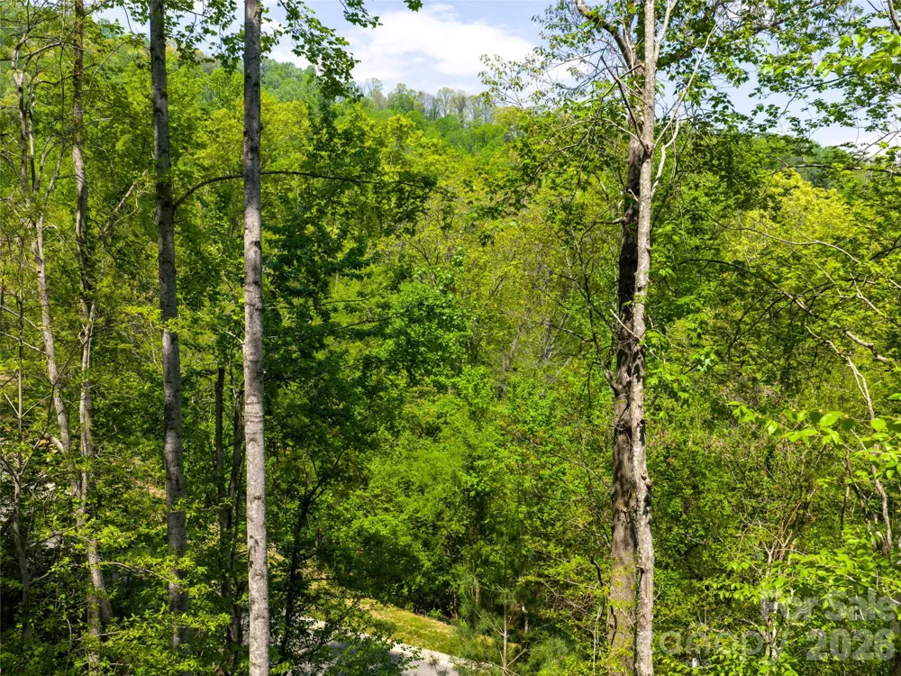 490 Barrington Drive #121 Asheville, NC 28803