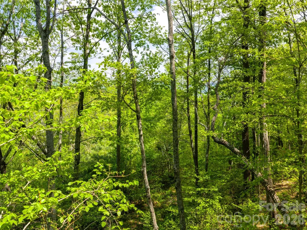 490 Barrington Drive #121 Asheville, NC 28803