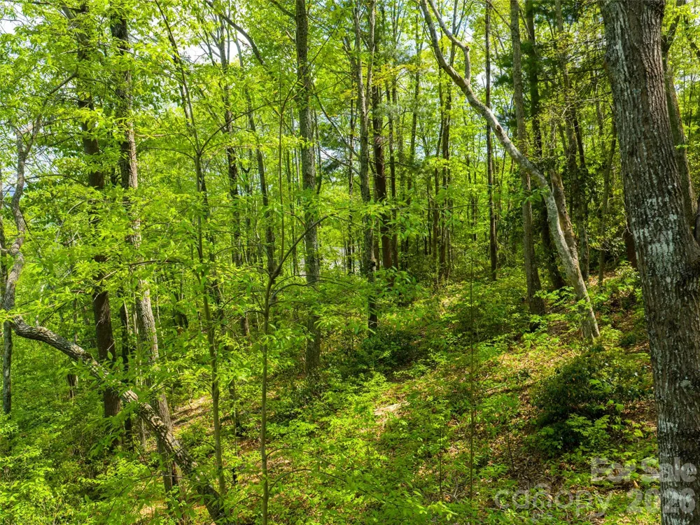 490 Barrington Drive #121 Asheville, NC 28803