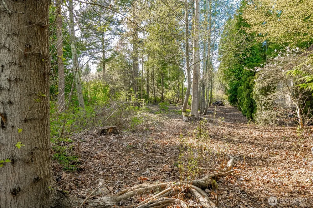 8647 Great Horned Owl Lane Blaine, WA 98230