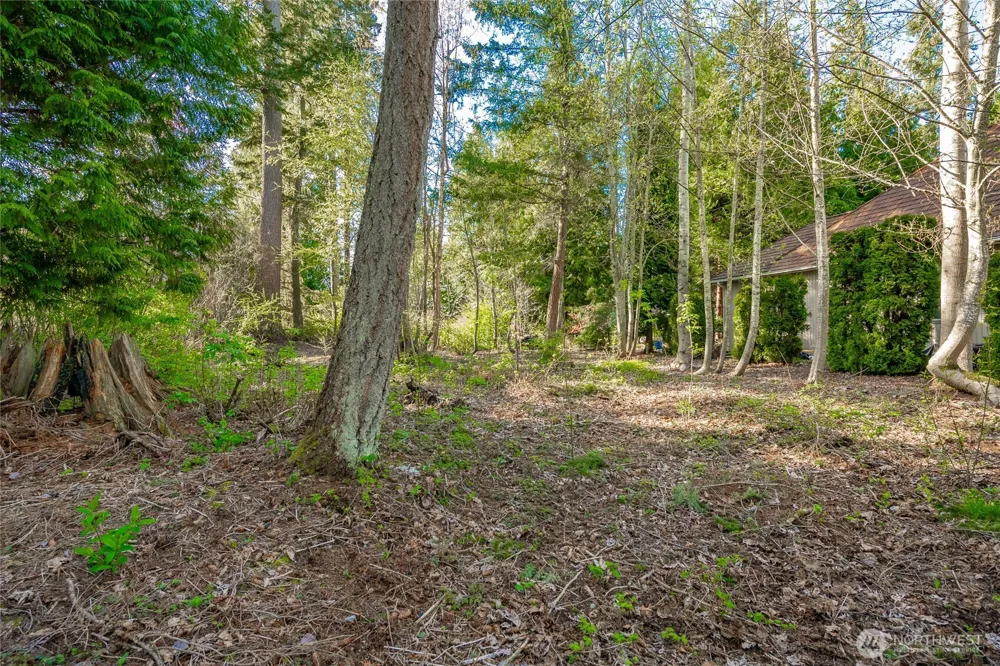 8647 Great Horned Owl Lane Blaine, WA 98230