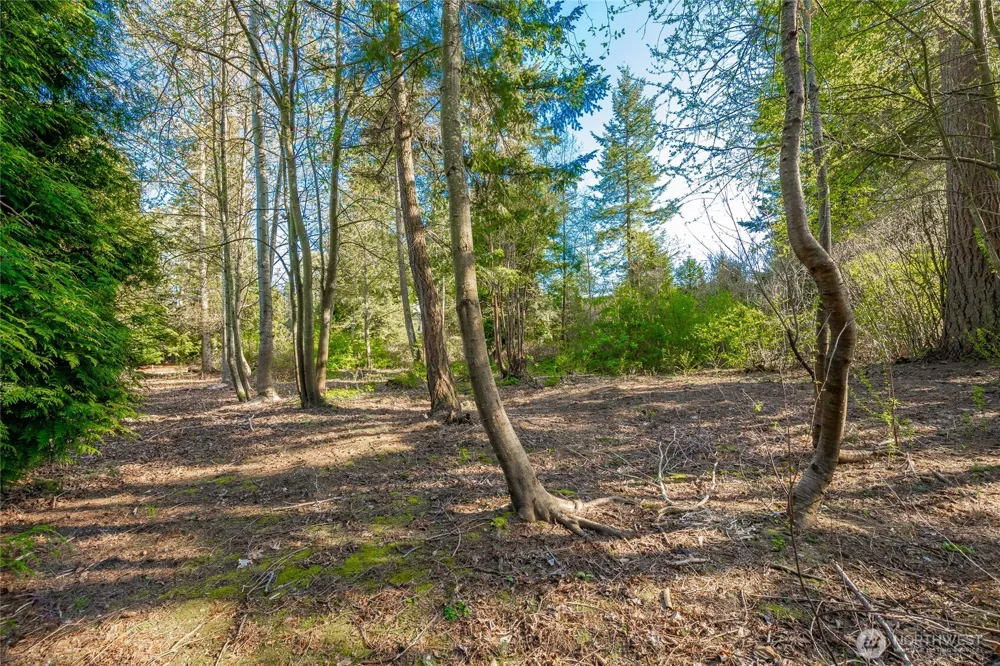8647 Great Horned Owl Lane Blaine, WA 98230