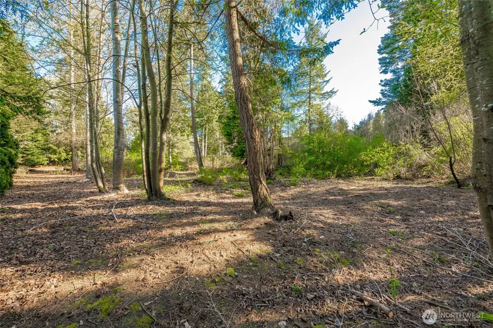 8647 Great Horned Owl Lane Blaine, WA 98230