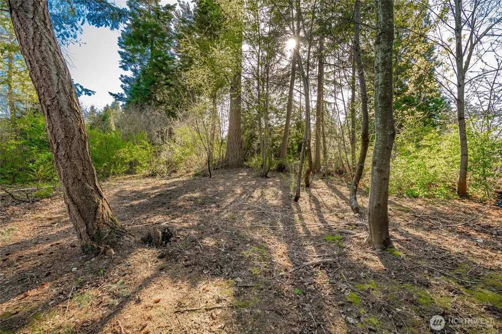 8647 Great Horned Owl Lane Blaine, WA 98230