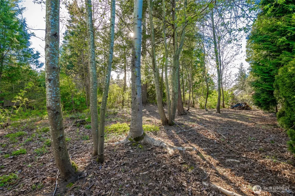 8647 Great Horned Owl Lane Blaine, WA 98230