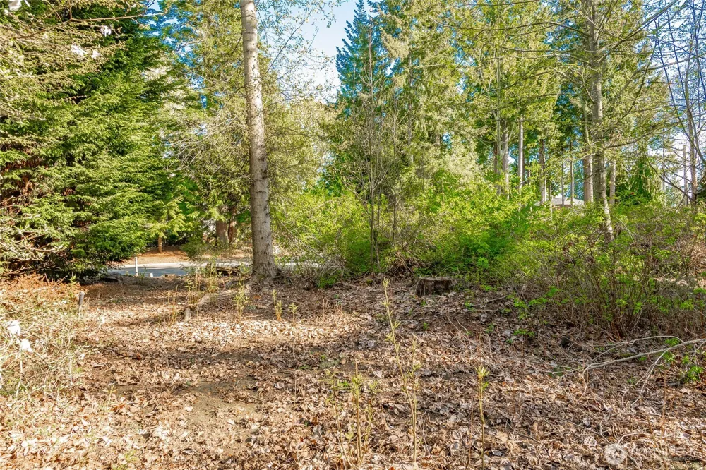8647 Great Horned Owl Lane Blaine, WA 98230