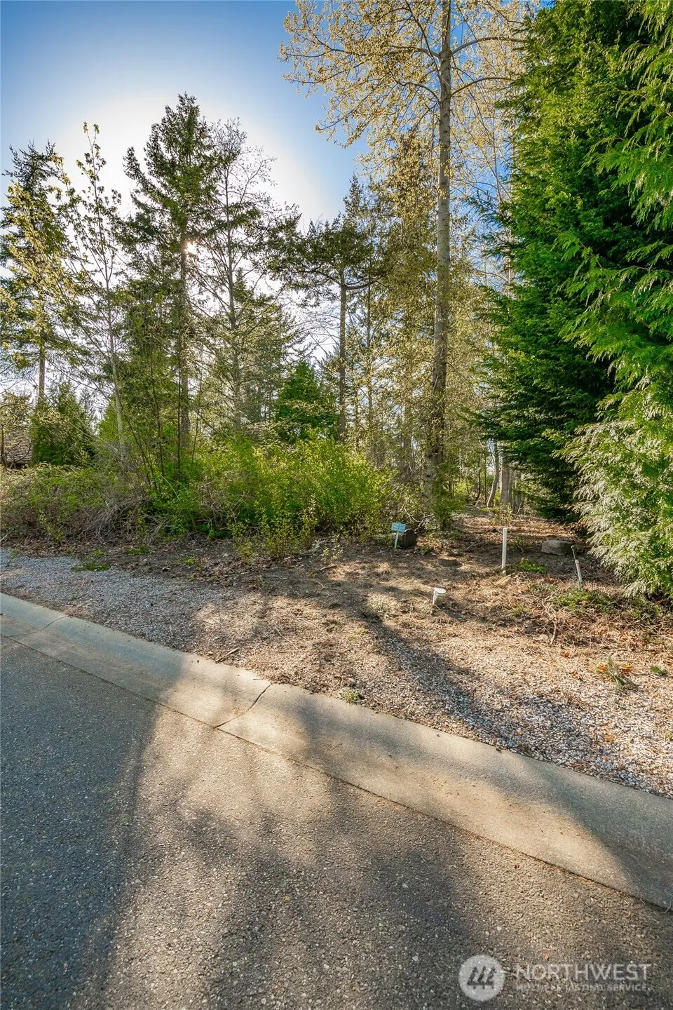 8647 Great Horned Owl Lane Blaine, WA 98230