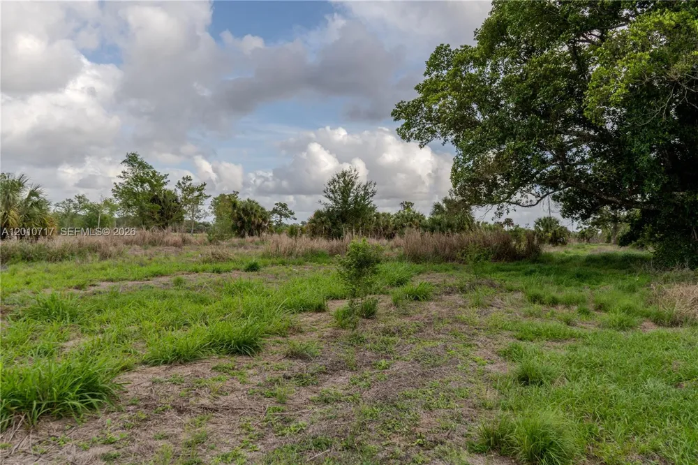 3921 Ft. Denaud Rd La Belle, FL 33935