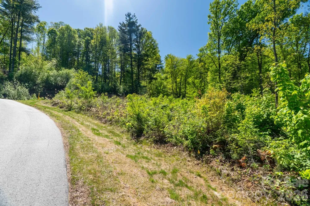 33 Bent Branch Lane Asheville, NC 28804
