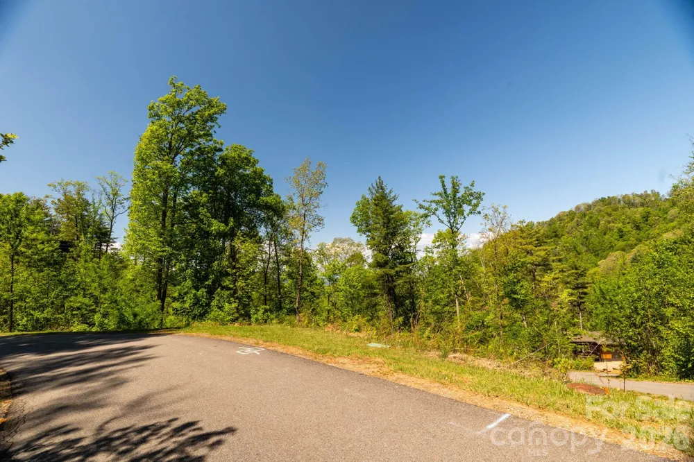 33 Bent Branch Lane Asheville, NC 28804